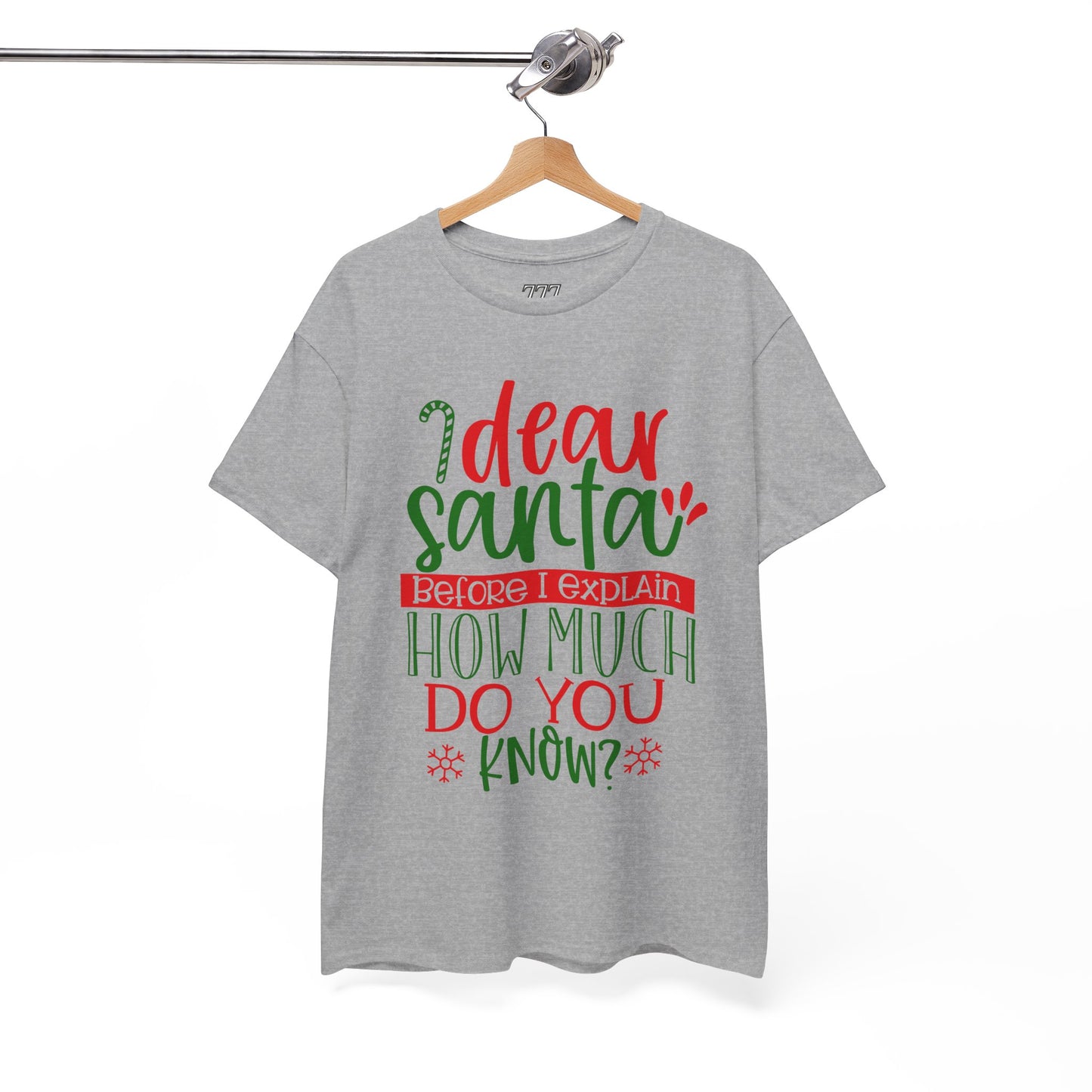 Dear Santa, Before I Explain How Much Do You Know? Unisex Heavy Cotton T-Shirt