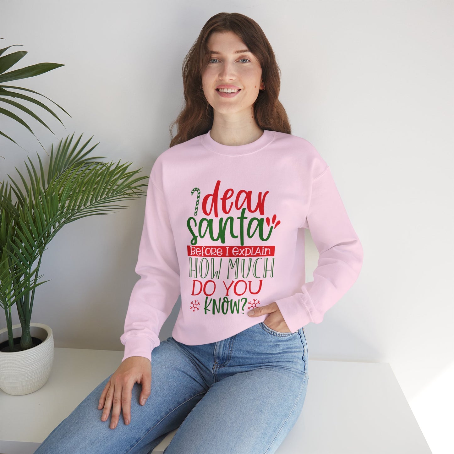 Dear Santa, Before I Explain How Much Do You Know? Unisex Heavy Blend Crewneck Sweatshirt