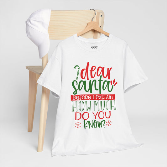 Dear Santa, Before I Explain How Much Do You Know? Unisex Heavy Cotton T-Shirt