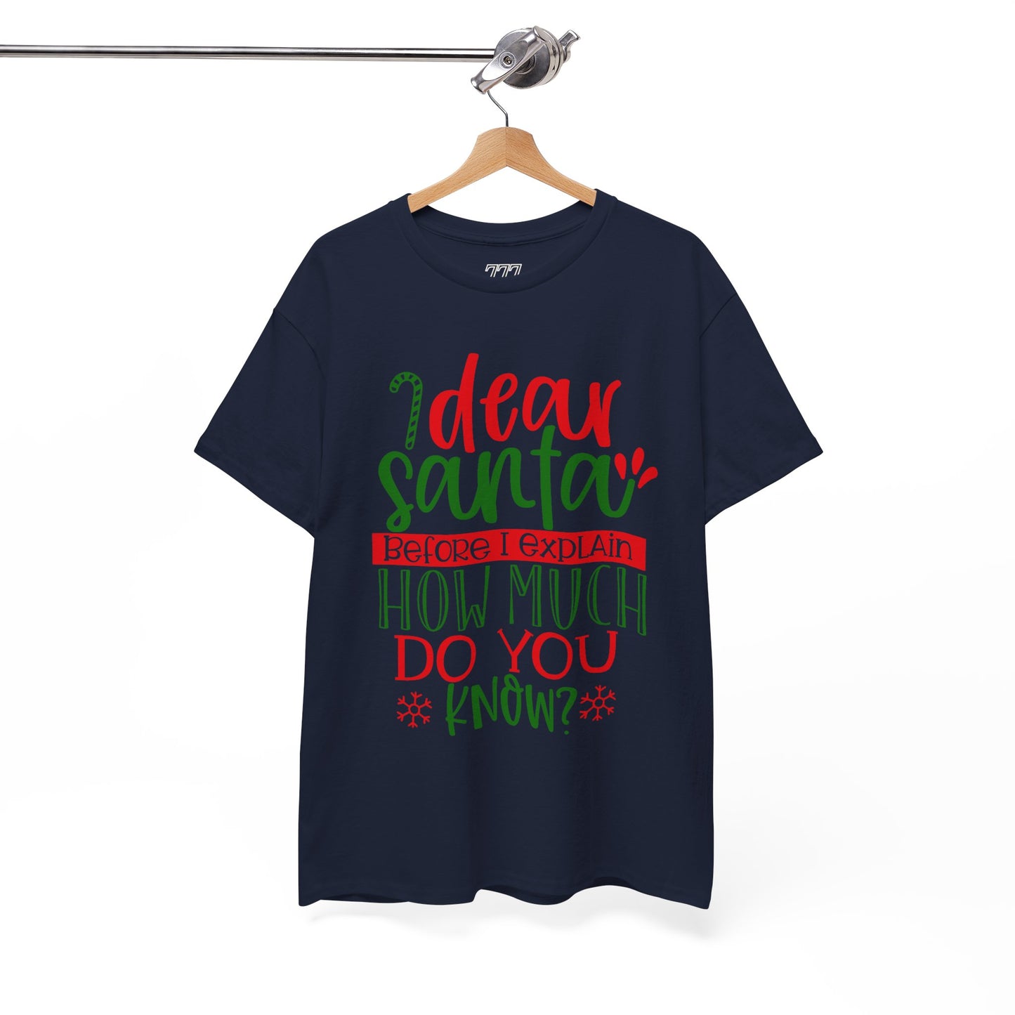 Dear Santa, Before I Explain How Much Do You Know? Unisex Heavy Cotton T-Shirt