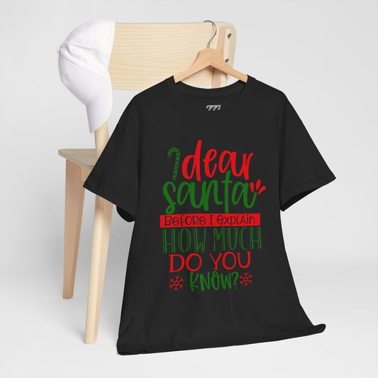 Dear Santa, Before I Explain How Much Do You Know? Unisex Heavy Cotton T-Shirt