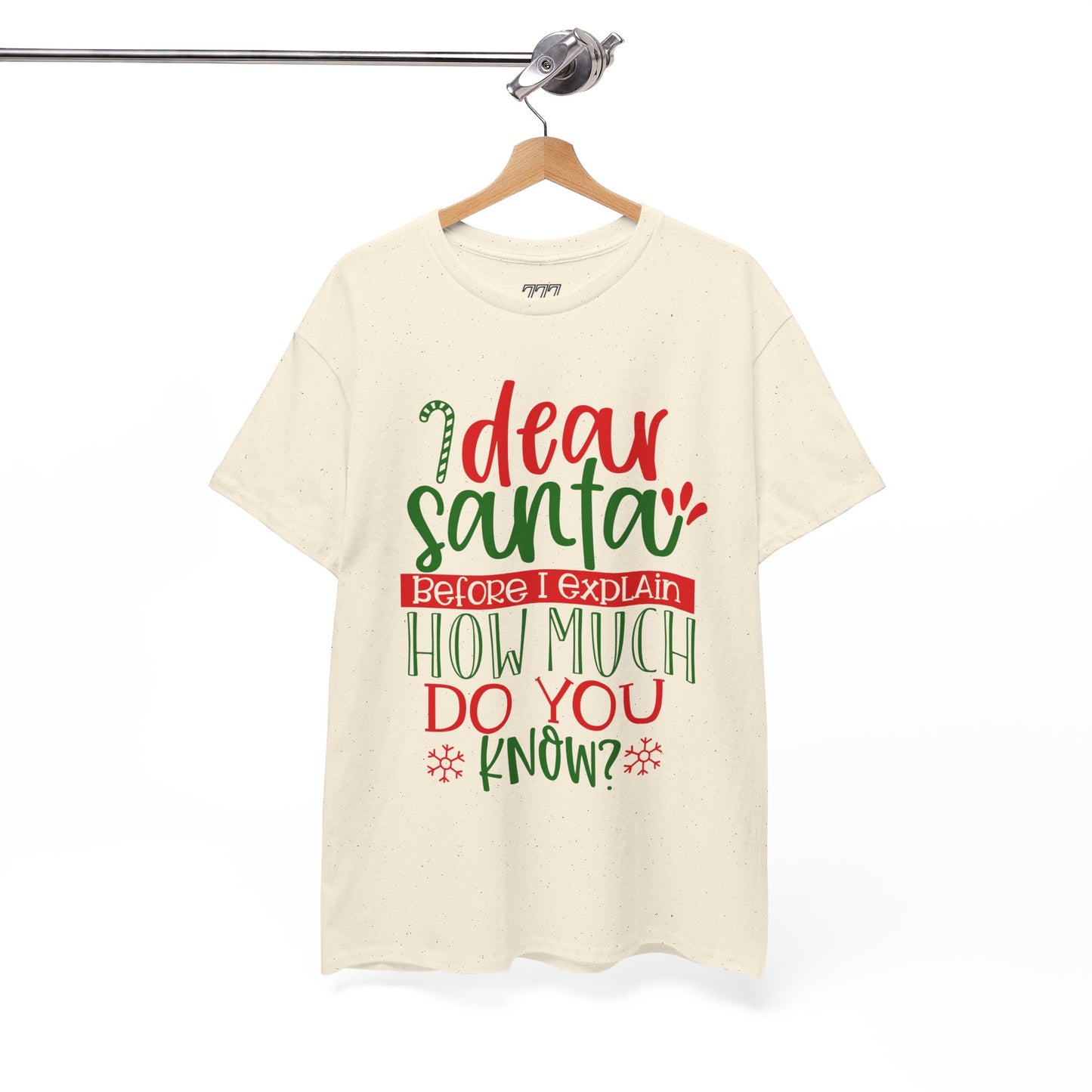 Dear Santa, Before I Explain How Much Do You Know? Unisex Heavy Cotton T-Shirt