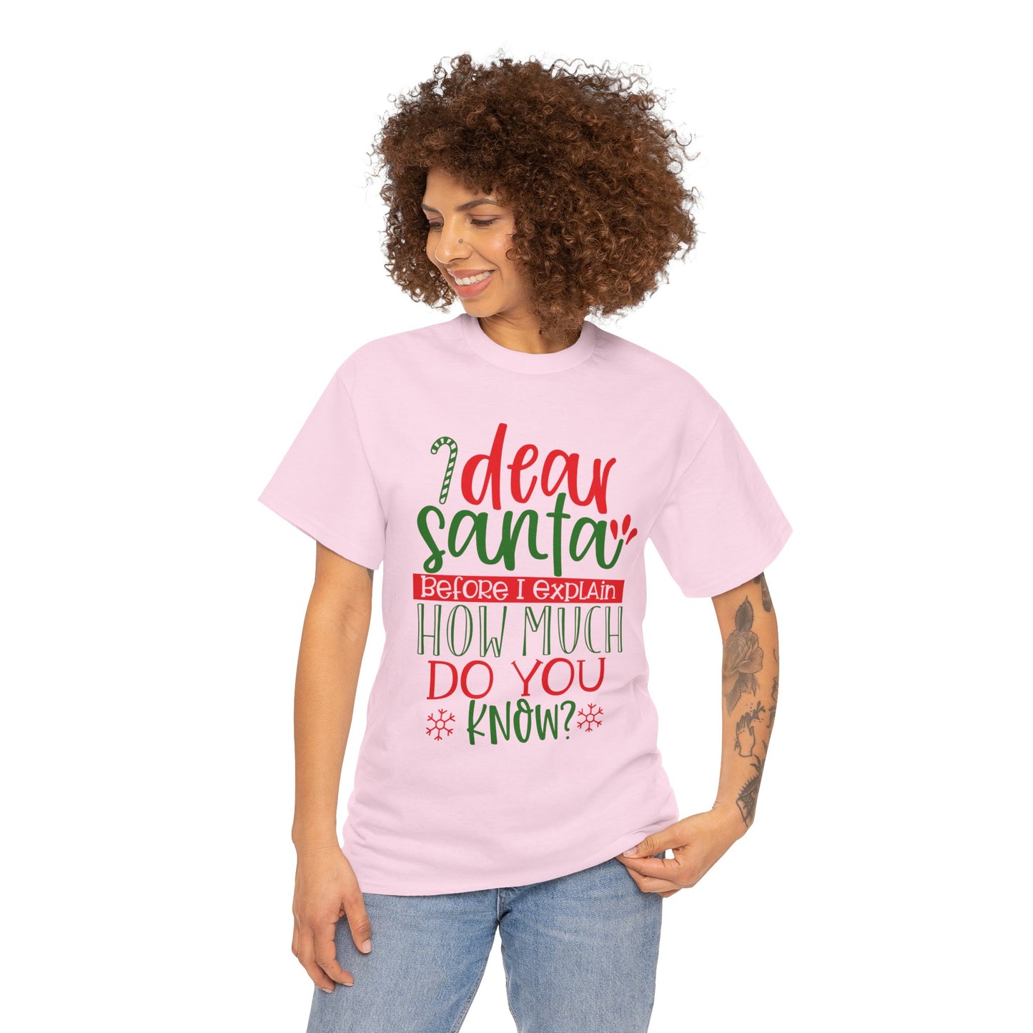 Dear Santa, Before I Explain How Much Do You Know? Unisex Heavy Cotton T-Shirt